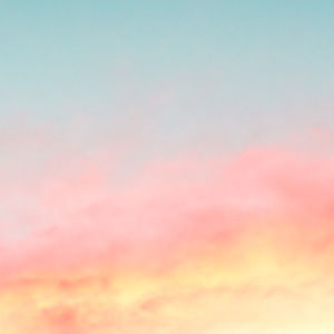 Meet your Posher, Rosie